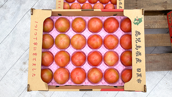 tomato-carousel1